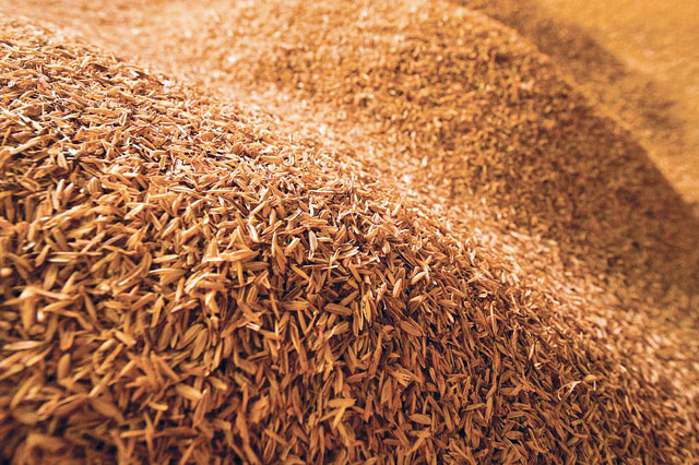 Pakistan Rice Husk Whole for Export